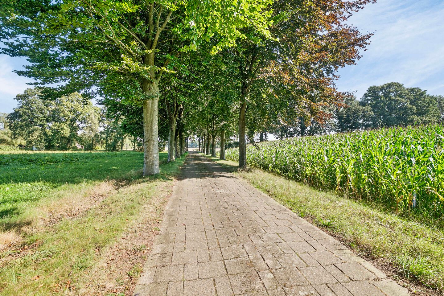 Foto 4 van Burgemeestersdijk 3