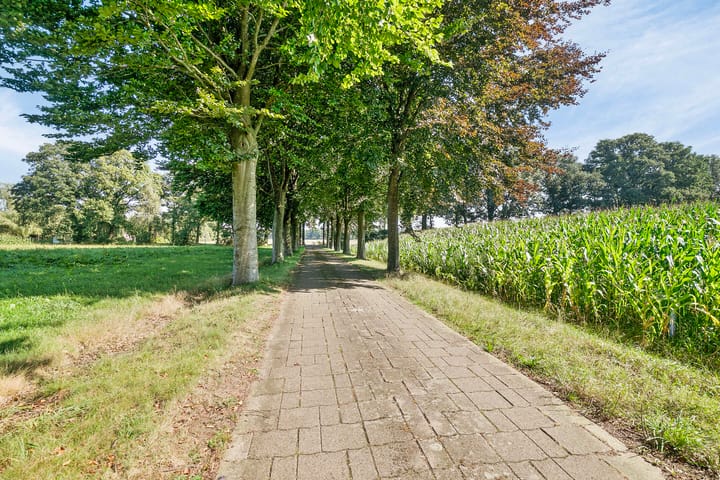 Foto 4 van Burgemeestersdijk 3