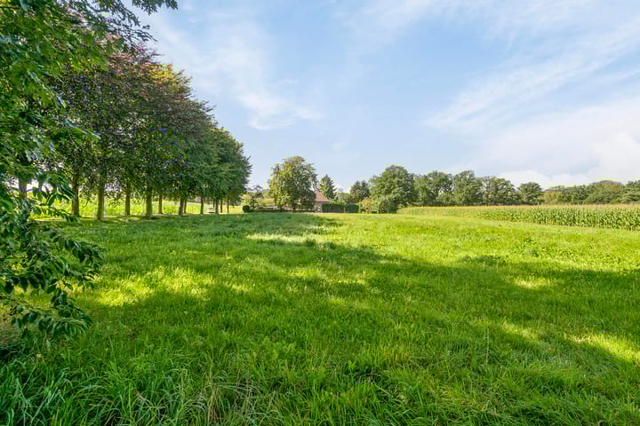 Foto 37 van Burgemeestersdijk 3