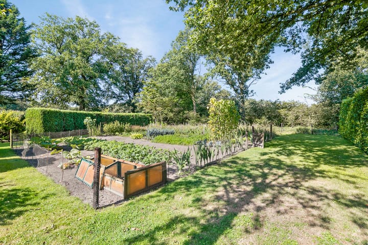 Foto 40 van Burgemeestersdijk 3