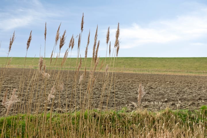 Foto 24 van Zeedorp 27