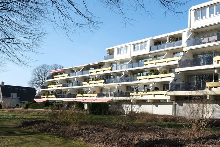 Photo 29 of Prof. Schermerhornpark 24