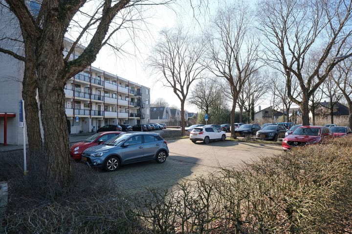 Photo 28 of Prof. Schermerhornpark 24