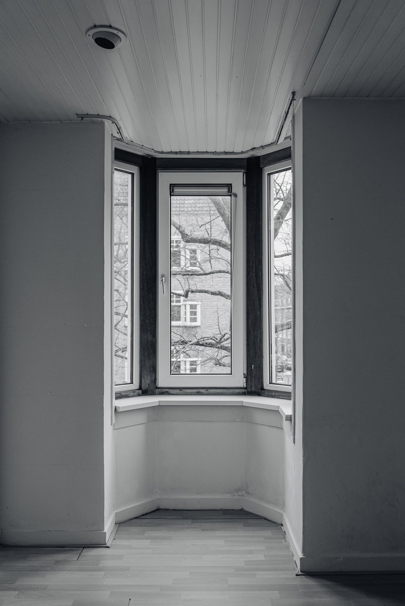 Foto 6 van Deurloostraat 44-2