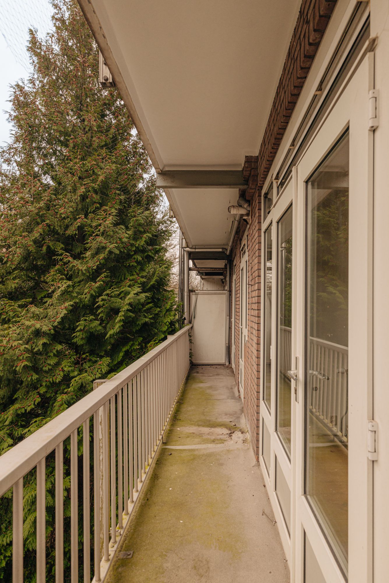 Foto 29 van Deurloostraat 44-2