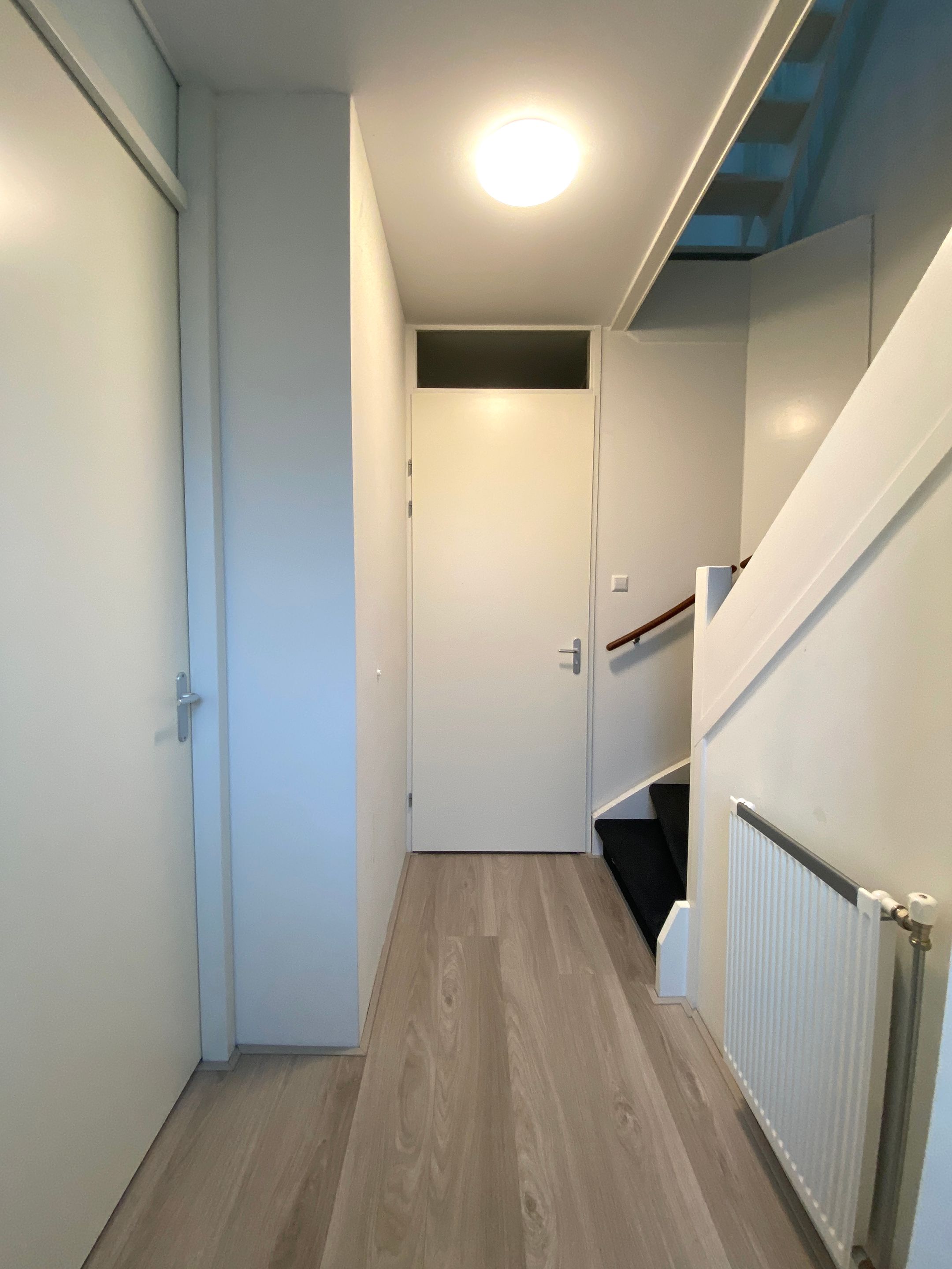 Foto 3 van Klaproos 2