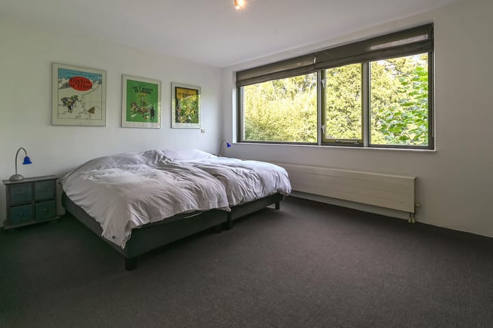 Foto 21 van Driehuizerkerkweg 252