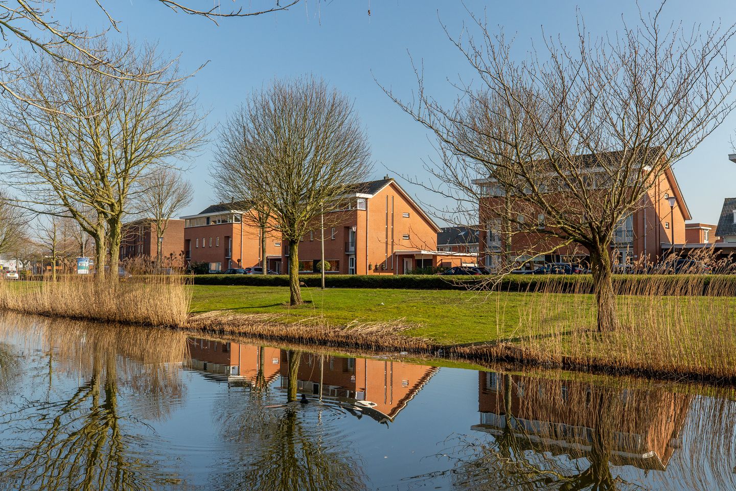 Foto 1 van Lijsterbeswede 49