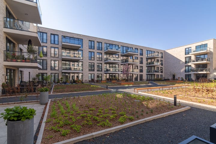 Photo 10 of Nicolaas Hennemanpad 11