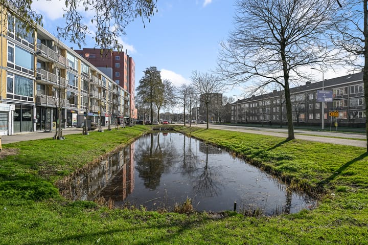 Foto 6 van Prinses Irenelaan 18