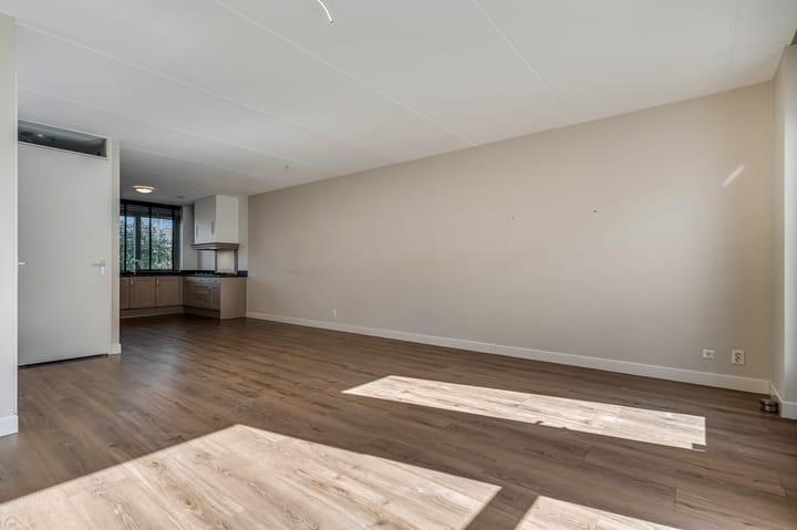 Photo 7 of Brahmalaan 51