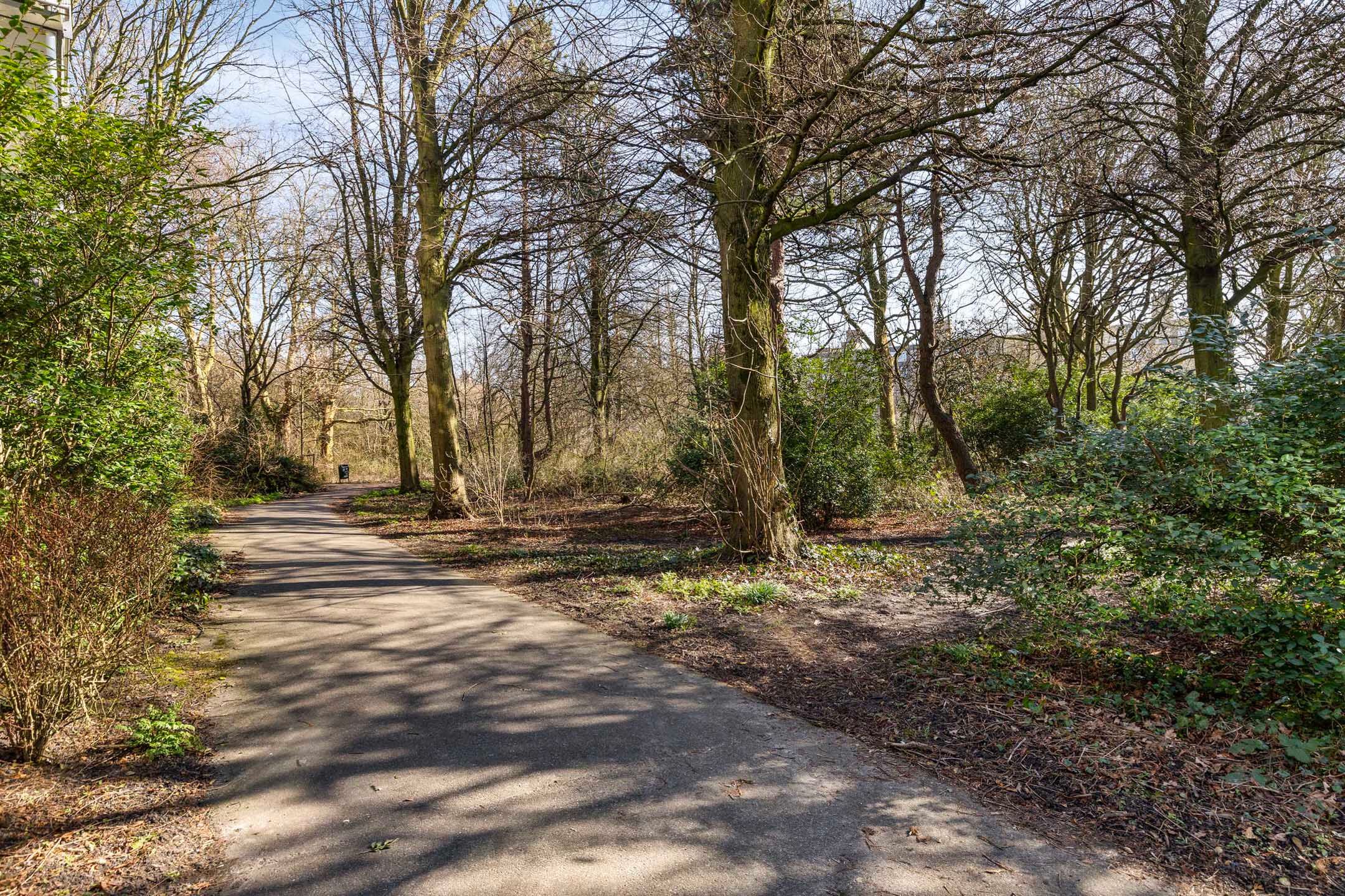 Foto 39 van Sportlaan 520