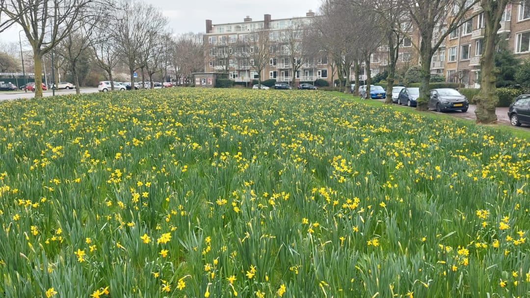 Foto 41 van Sportlaan 520