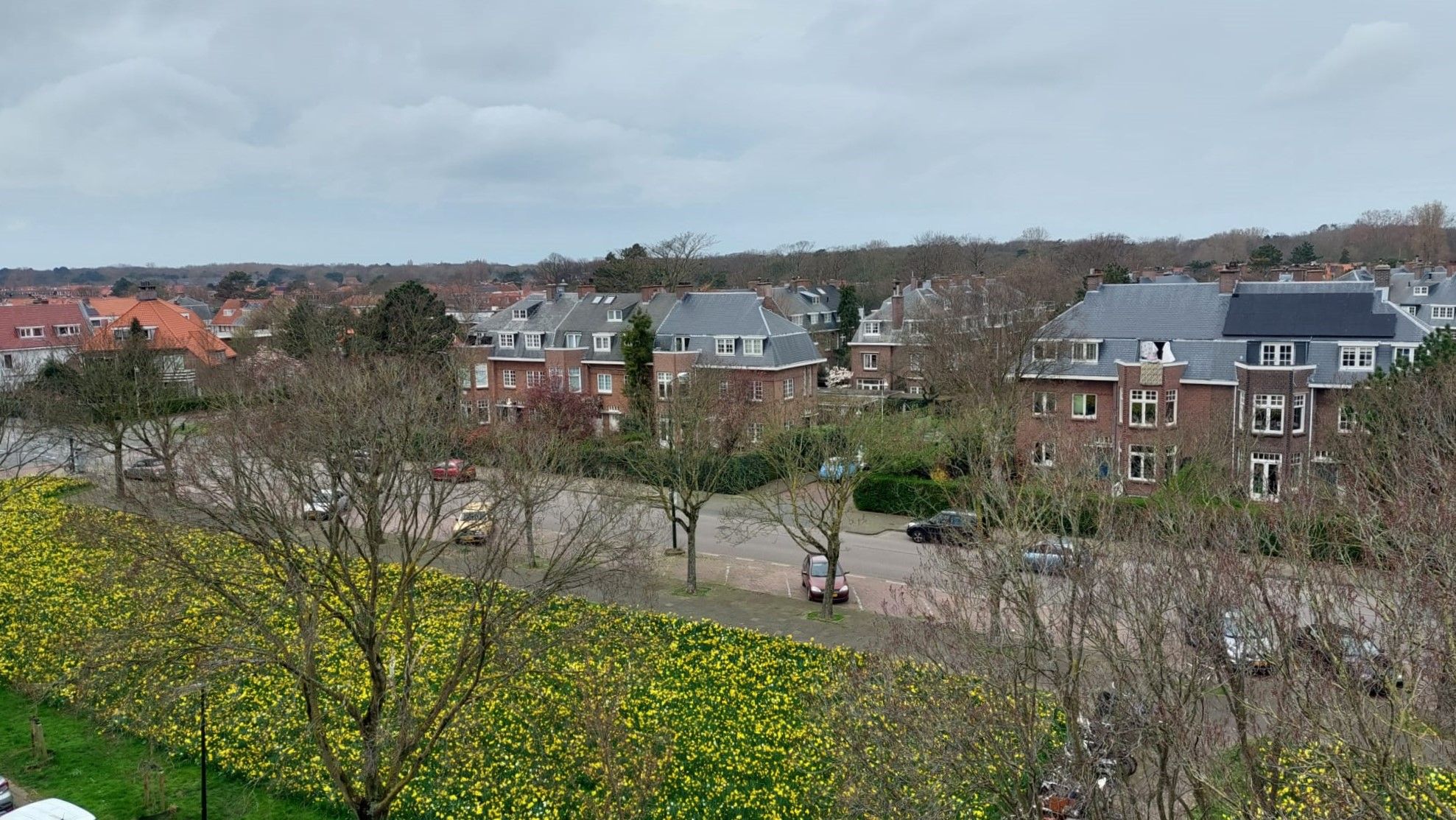 Foto 42 van Sportlaan 520