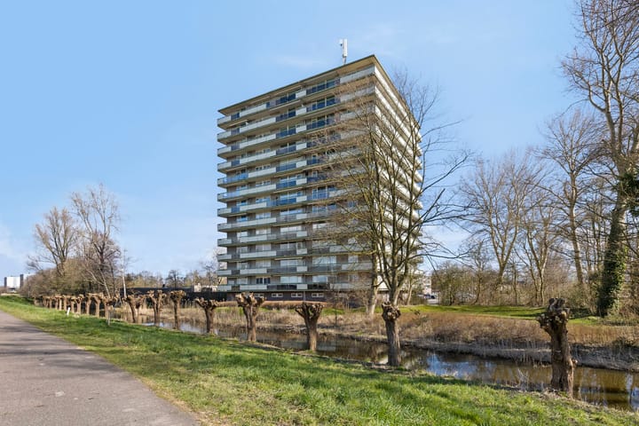 Foto 5 van Suze Groenewegstraat 107