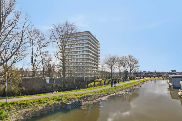 Foto 7 van Suze Groenewegstraat 107