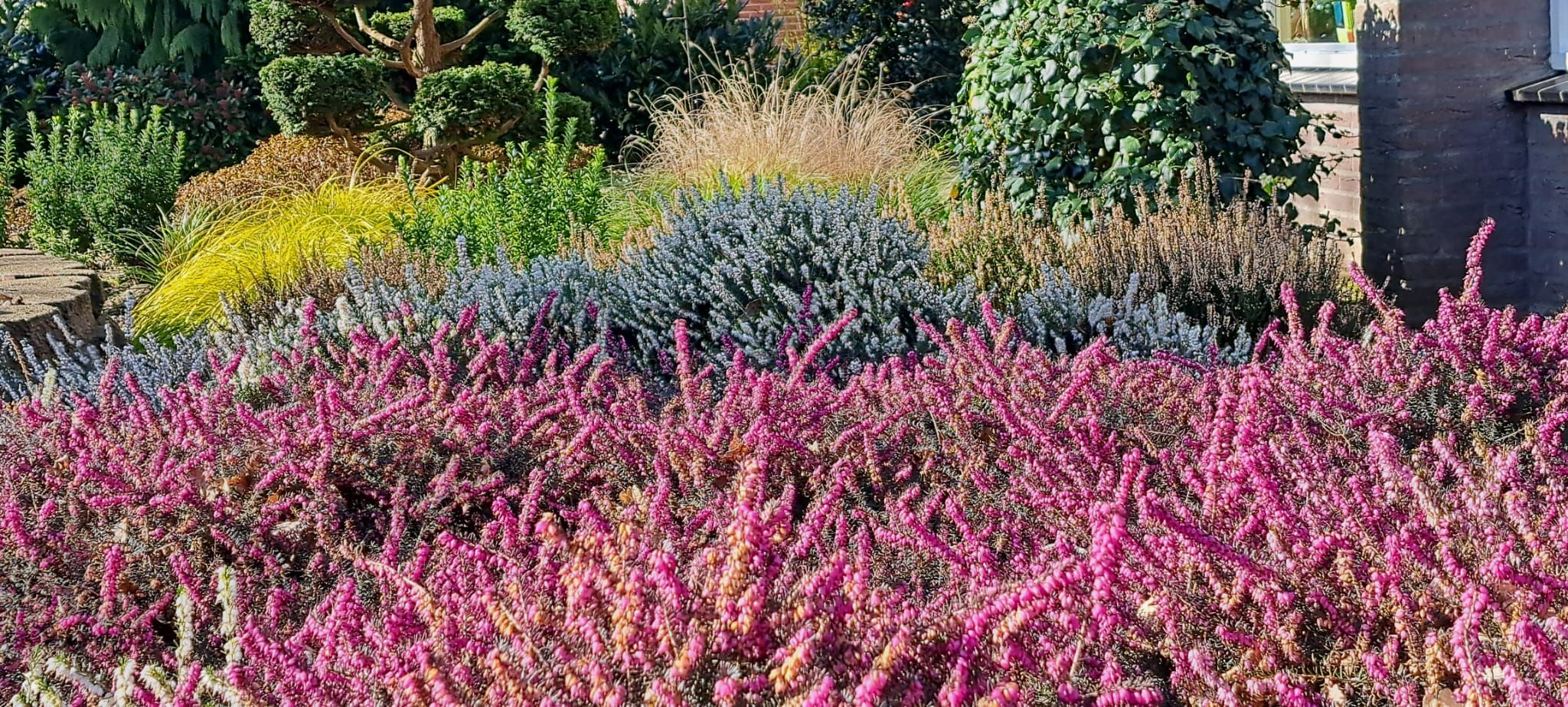 Foto 45 van Capellastraat 34