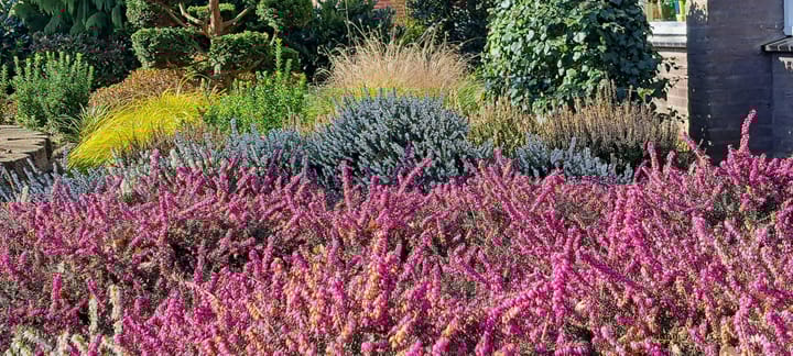 Foto 45 van Capellastraat 34