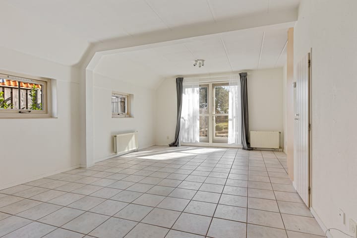 Photo 3 of Meerkoet 66