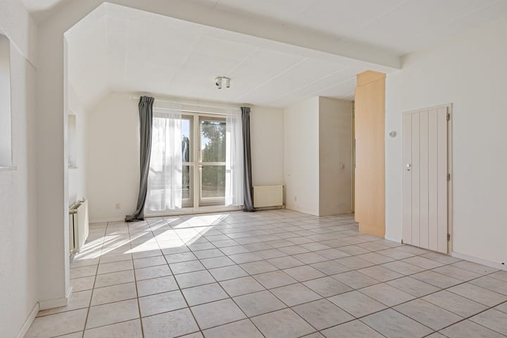 Photo 6 of Meerkoet 66