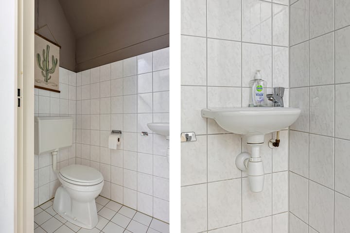 Photo 14 of Meerkoet 66