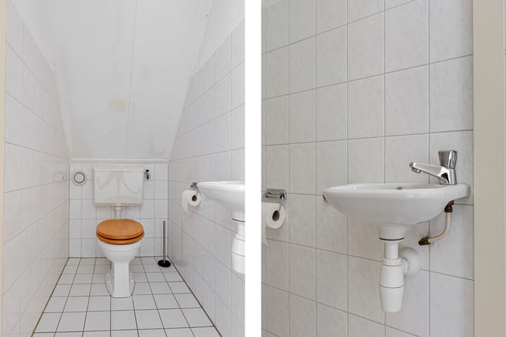 Photo 20 of Meerkoet 66