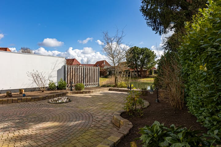 Photo 28 of Meerkoet 66