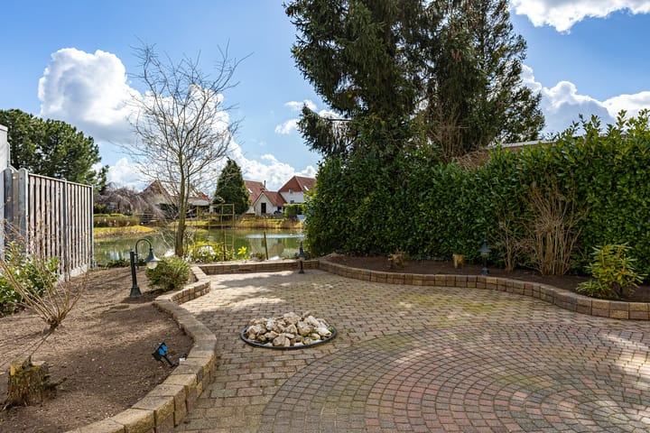 Photo 27 of Meerkoet 66