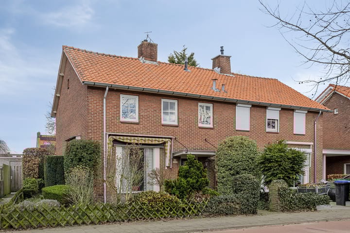 undefined main image