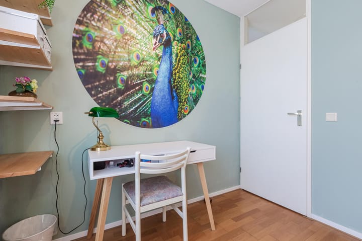 Foto 20 van Ebro 153