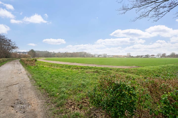 Foto 52 van Westerbaan 30