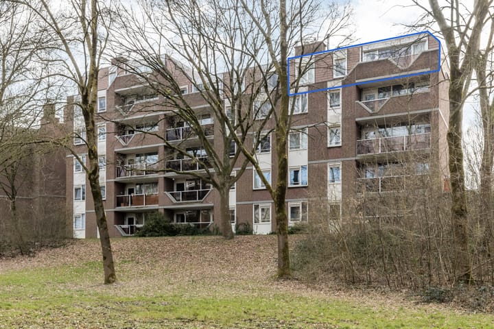 Foto 2 van Dillegaard 41