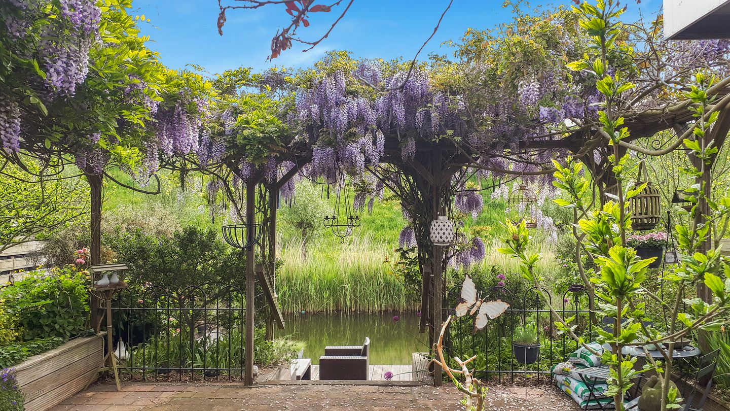 Foto 35 van Schiermonnikoog 45