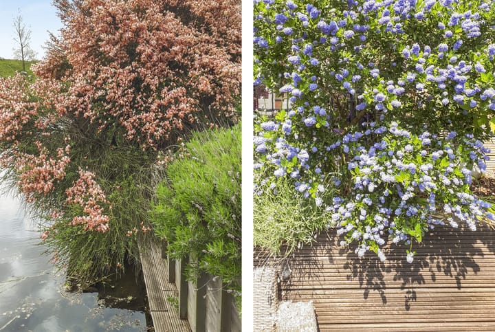 Foto 39 van Schiermonnikoog 45