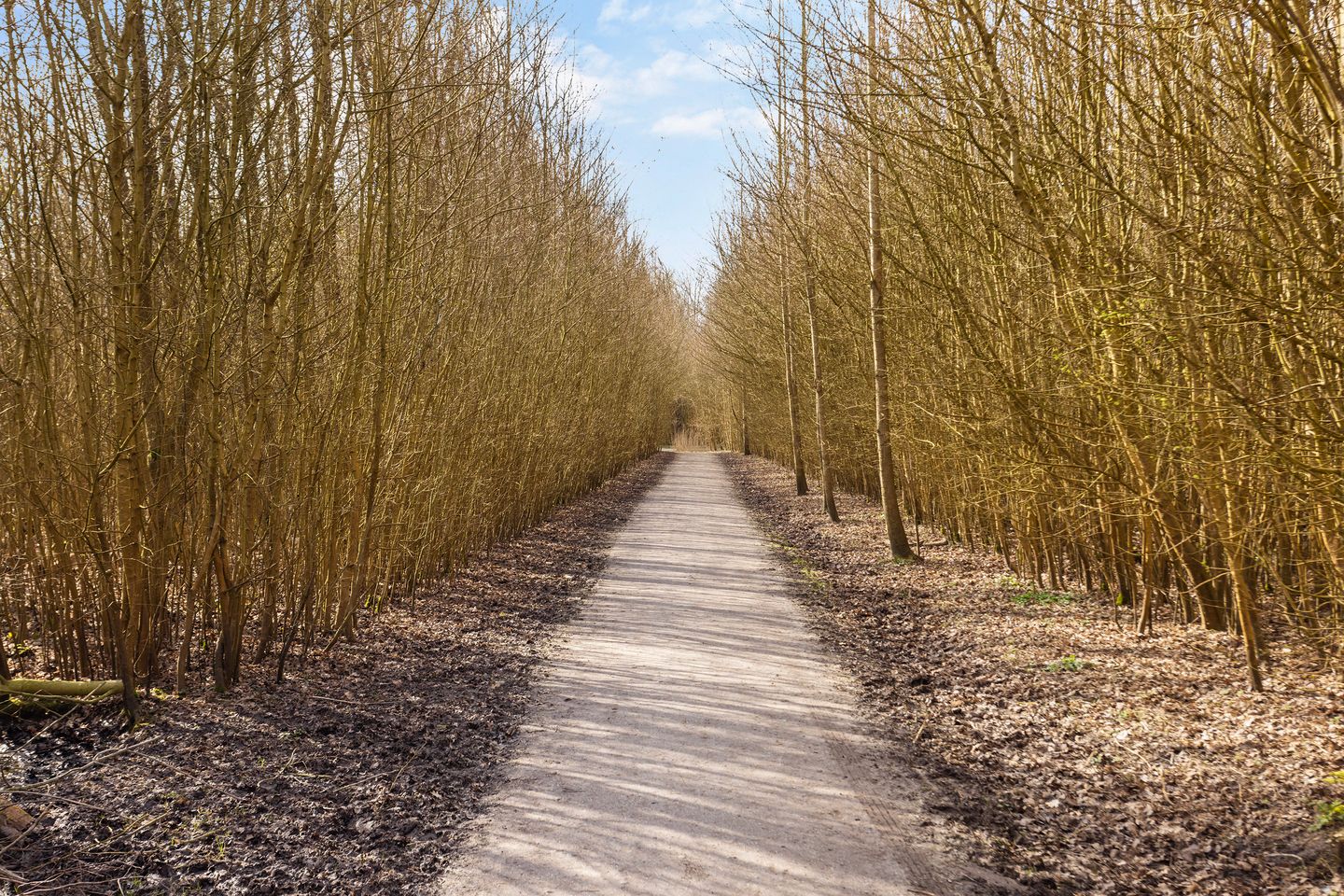 Foto 34 van Ceresbaan 22