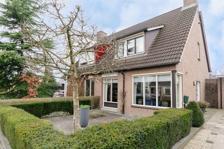 Foto 6 van Wildzoom 3