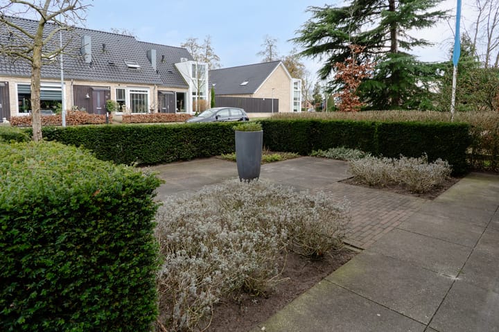 Foto 7 van Wildzoom 3