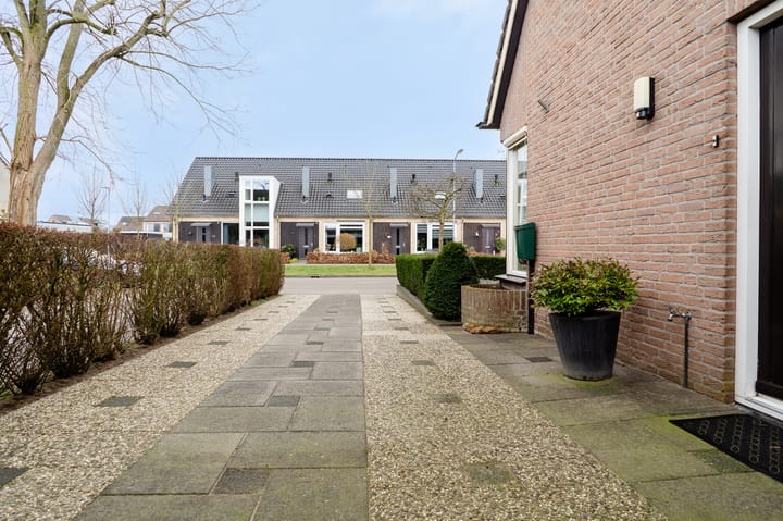 Foto 8 van Wildzoom 3