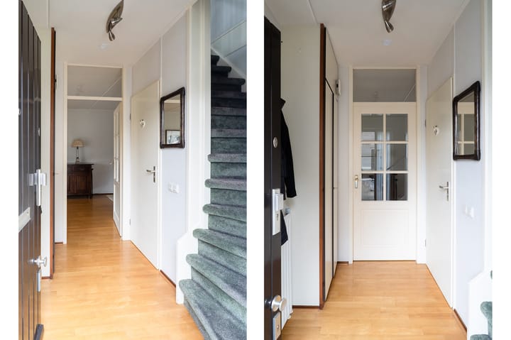 Foto 9 van Wildzoom 3