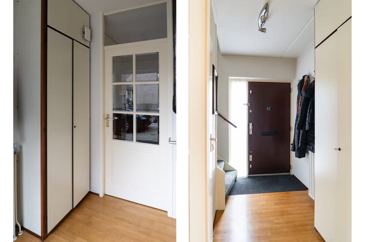 Foto 11 van Wildzoom 3