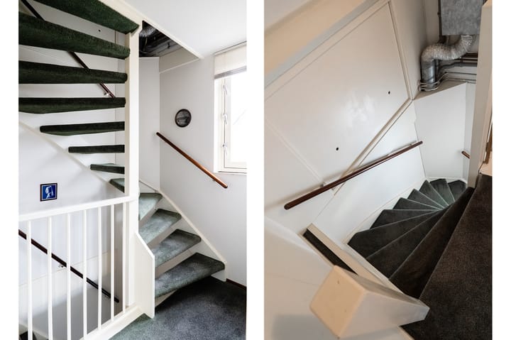 Foto 41 van Wildzoom 3