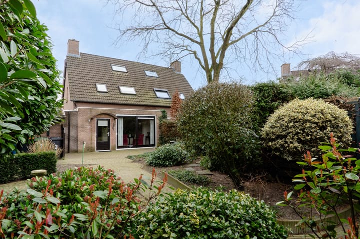 Foto 46 van Wildzoom 3