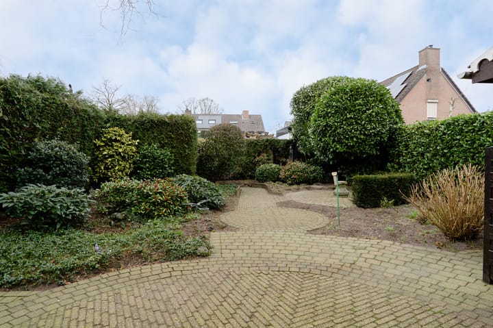 Foto 47 van Wildzoom 3