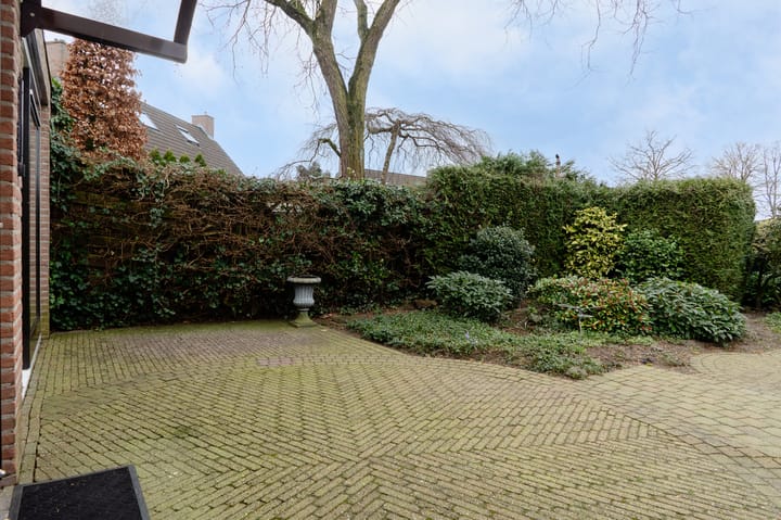 Foto 49 van Wildzoom 3