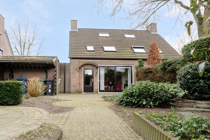 Foto 50 van Wildzoom 3