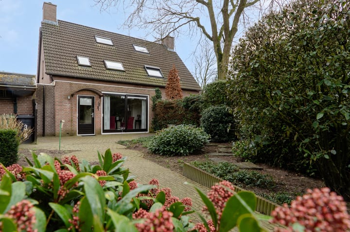 Foto 51 van Wildzoom 3