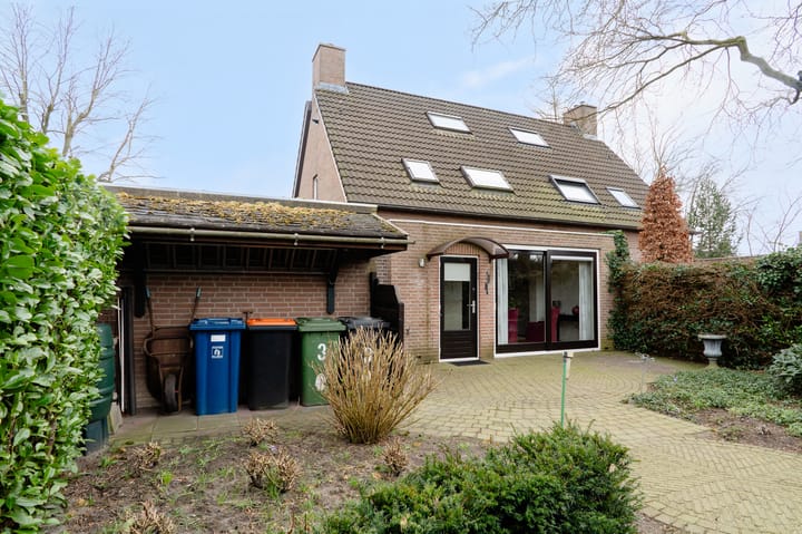 Foto 54 van Wildzoom 3