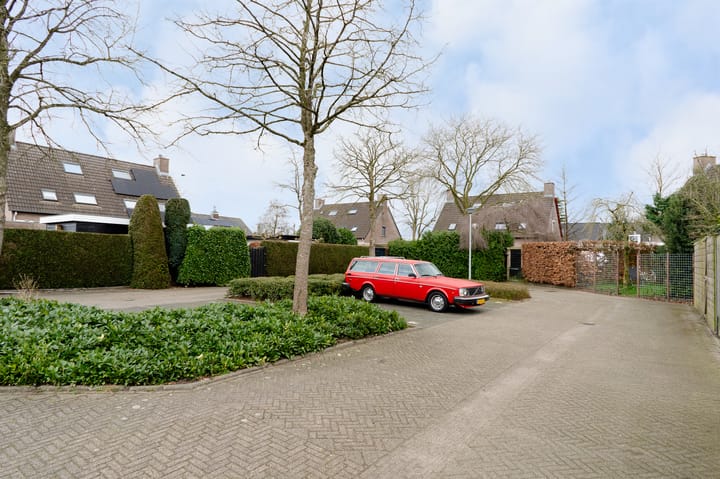 Foto 58 van Wildzoom 3