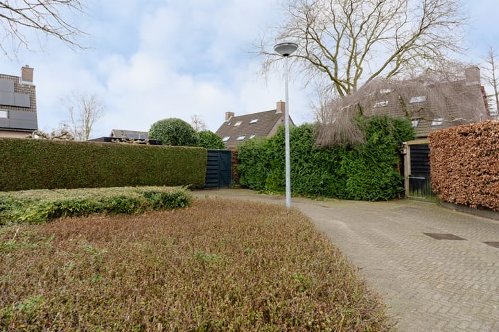 Foto 59 van Wildzoom 3