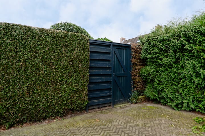 Foto 60 van Wildzoom 3